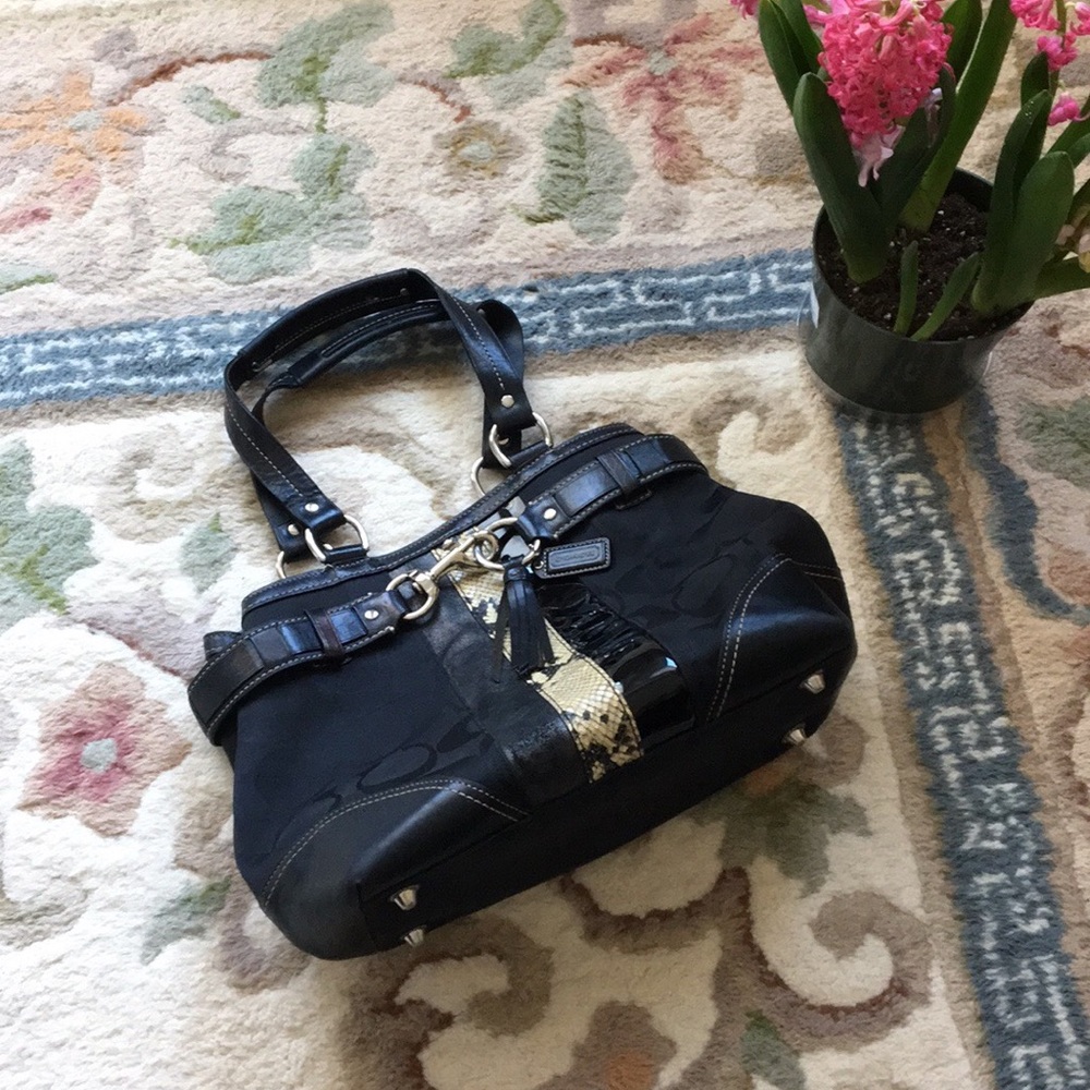 Coach Hampton Signature Python Stripe Bag - image 1